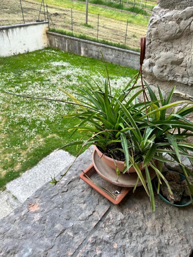 Rasiglia Ξενοδοχείο Εξωτερικό φωτογραφία